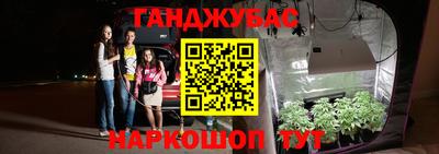 мдпв Можга