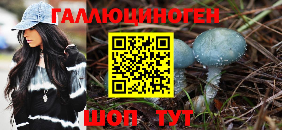 Псилоцибиновые грибы MAGIC MUSHROOMS  Вход с VPN  Томск  Псилоцибиновые грибы Cubensis 